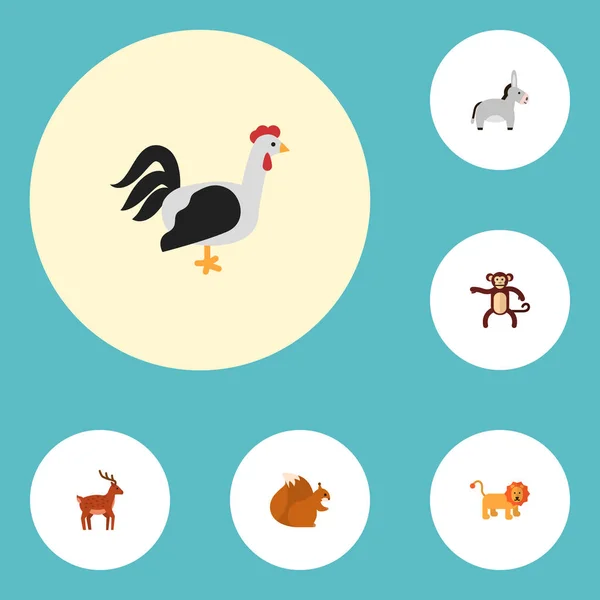 Flat Icons Moose, Jackass, Chimpanzee and Other Vector Elements. Символы плоских икон Зоологии также включают ореховые, ослиные, птичьи объекты . — стоковый вектор