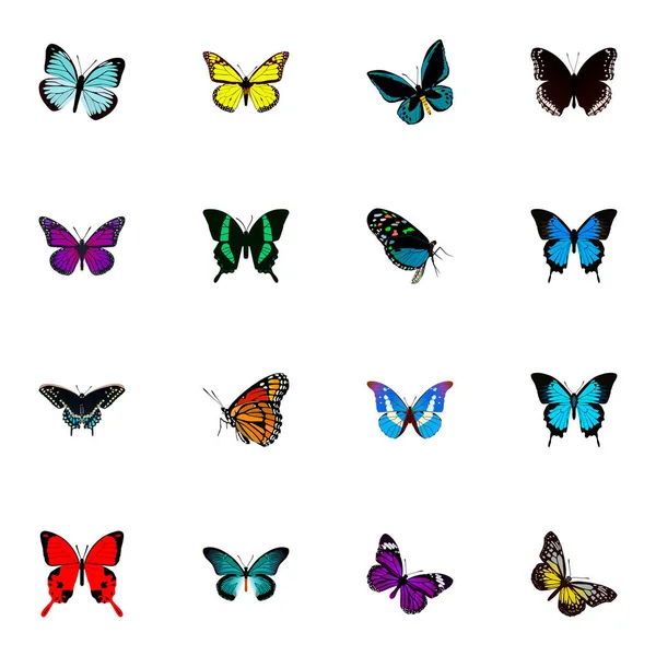 Realistic Milkweed, Sangaris, Common Blue And Other Vector Elements. Set Of Butterfly Realistic Symbols Also Includes Tropical, Purple, Butterfly Objects. — Stock Vector