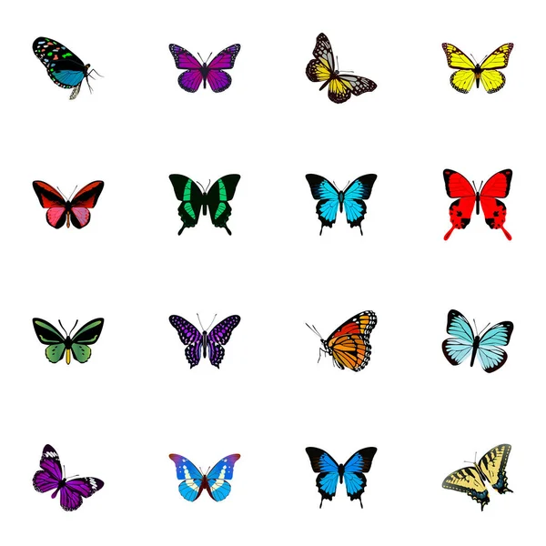 Realistische Lexika, tropische Motten, Schmetterlinge und andere Vektorelemente. Set von Schmetterling realistischen Symbolen enthält auch lila, Himmel, grüne Objekte. — Stockvektor