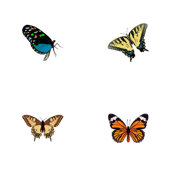 Hairstreak yang realistis, Tiger Swallowtail, Monarch And Other Vector Elements. Set Of Moth Realistic Symbols Also Includes Blue, Bluewing, Tiger Objects . - Stok Vektor