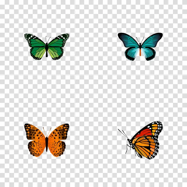 Danaus Plexippus realista, Pipevine, Milkweed e outros elementos vetores. Conjunto de borboleta símbolos realistas também inclui verde, Bluewing, Brown Objetos . —  Vetores de Stock