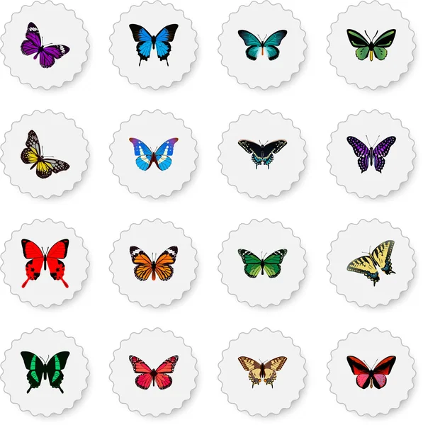 Realistic Sangaris, Birdwing, Morpho Hecuba And Other Vector Elements. Set Of Moth Realistic Symbols Also Includes Julia, Cynosura, Butterfly Objects. — Stock Vector