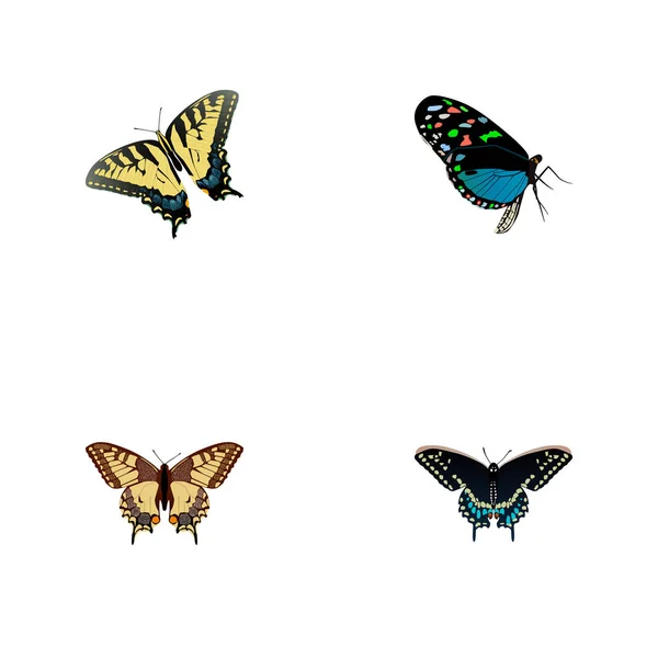 Realistické Hairstreak, Tiger otakárek, Morpho Hekabé a další prvky vektoru. Sada motýl realistické symbolů zahrnuje také Tiger Moth, Butterfly objektů. — Stockový vektor