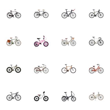 Gerçekçi ağaçlık, eğitim araç, yol hız ve diğer vektör öğeleri. Gerçekçi simgeler kümesi de içerir eğitim, ahşap, triatlon nesneleri.