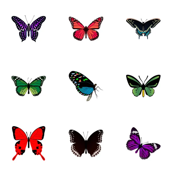 Realistiska Polyommatus Icarus, Morpho Hekuba, tropiska fjärilar och andra Vector-element. Uppsättning av skönhet realistiska symboler innehåller också Moth, blåvinge, violett objekt. — Stock vektor