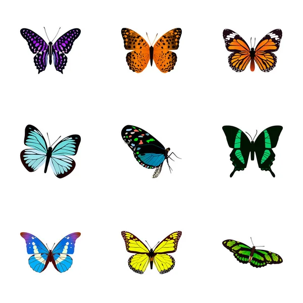 Realistic Beauty Fly, Polyommatus Icarus, Archippus And Other Vector Elements. Set Of Beauty Realistic Symbols Also Includes Blue, Yellow, Monarch Objects. — Stock Vector