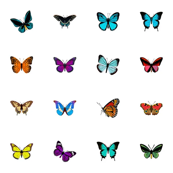 Valósághű égbolt állat, Demophoon, selyemkóró és egyéb vektoros elemek. A reális pillangóval is tartalmaz pillangó, lila, kék Tárgy. — Stock Vector