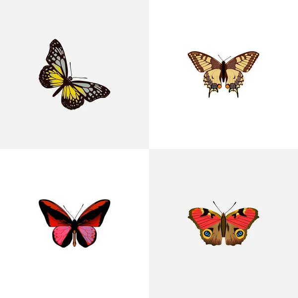 Gerçekçi kaplan Swallowtail, Amerikan Painted Lady, Callicore Cynosura ve diğer vektör öğeleri. Kelebek gerçekçi simgeler kümesi de Amerikan, Red, güzellik nesneleri içerir. — Stok Vektör