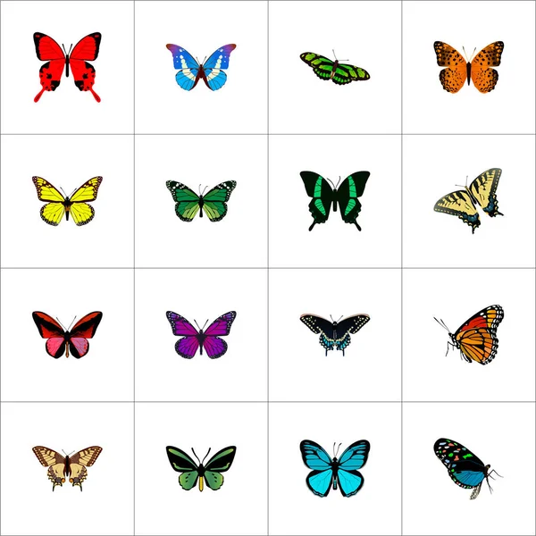 Realistiska Sangaris, tropiska fjärilar, Archippus och andra Vector-element. Butterfly realistiska symboler ingår även Swallowtail, Green, fjäril objekt. — Stock vektor
