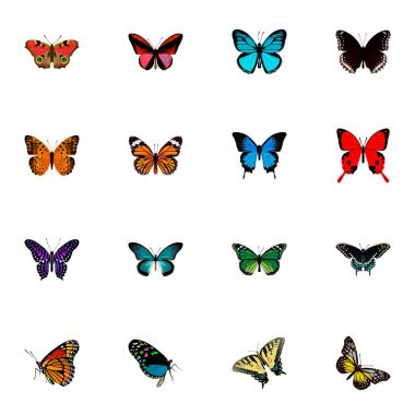 Gerçekçi süt kardeş, Danaus Plexippus, Amerikan Painted Lady ve diğer vektör öğeleri. Güzellik gerçekçi simgeler kümesi de içerir Cynosura, sarı, kaplan nesneleri.