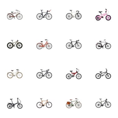 Araç, eğitim gerçekçi eski at binme ve diğer vektör öğeleri egzersiz. Gerçekçi simgeler kümesi de içerir ağaçlık, patron, nesneleri eğitim.