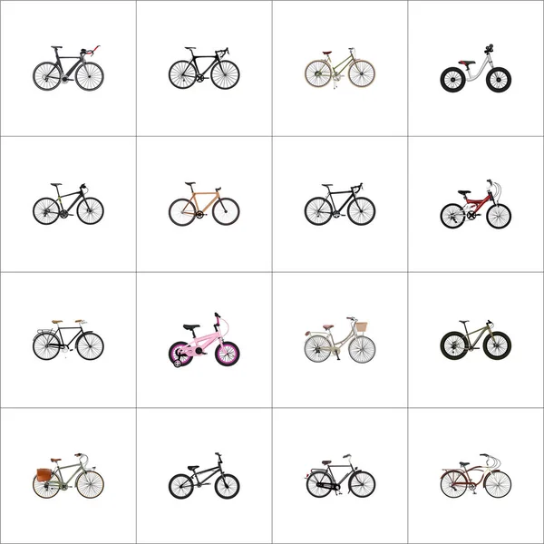 Realistiska timrade, utbildning fordon, motion ridning och andra Vector-element. Uppsättning av cykel realistiska symboler ingår även Vintage, Triathlon, barnen objekt. — Stock vektor