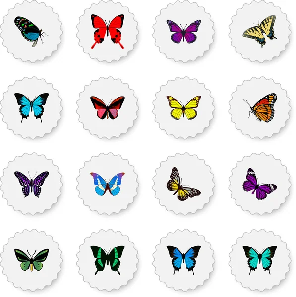 Realistic Tropical Moth, Checkerspot, Callicore Cynosura And Other Vector Elements. Set Of Butterfly Realistic Symbols Also Includes Violet, Fly, Julia Objects. — Stock Vector