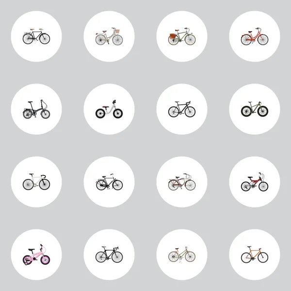 Realistic Timbered, Cyclocross Drive, Childlike e outros elementos vetoriais. Conjunto de símbolos realistas de bicicleta também inclui objetos de madeira, carteiro, Velocipede . — Vetor de Stock