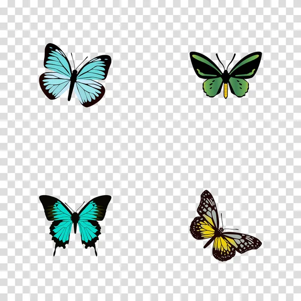 现实的热带蛾、 铜、 Lexias 和其他向量元素。蛾现实符号集还包括天空、 蝴蝶、 Bluewing 对象. — 图库矢量图片