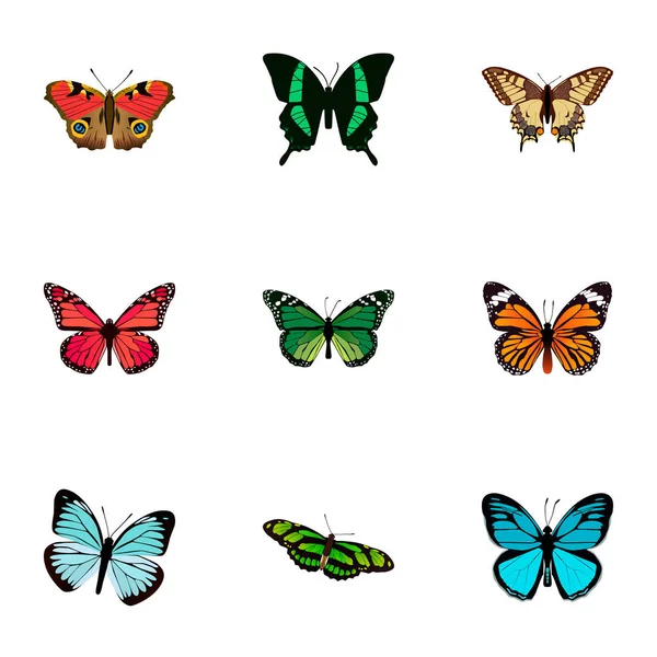 Realistiska amerikansk Painted Lady, Birdwing, Azure Peacock och andra Vector-element. Uppsättning av skönhet realistiska symboler ingår även Tiger, monark, Peacock objekt. — Stock vektor