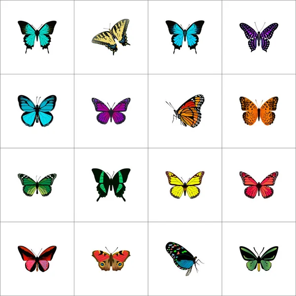 Realistic Milkweed, Checkerspot, Danaus Plexippus y otros elementos vectoriales. Conjunto de símbolos realistas de mariposa también incluye objetos azules, tigres y malaquitas . — Vector de stock