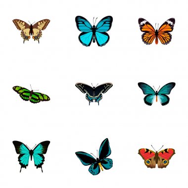 Gerçekçi yeşil tavus kuşu, Pipevine, hükümdar ve diğer vektör öğeleri. Güzellik gerçekçi simgeler kümesi de içerir yeşil, gökyüzü, Bluewing nesneleri.