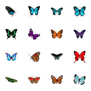 Gerçekçi Papilio Ulysses, Sangaris, Morfo Hecuba ve diğer vektör öğeleri. Güzellik gerçekçi simgeler kümesi de içerir kırmızı, sinek, Julia nesneleri.