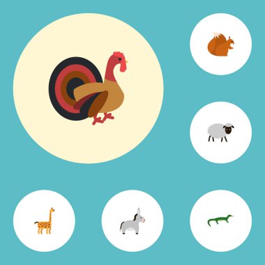 Düz simgeler Camelopard, koyun eti, işkembe ve diğer vektör öğeleri. Zooloji düz simgeler simge kümesi de sincap, koyun eti, memeli nesneleri içerir.