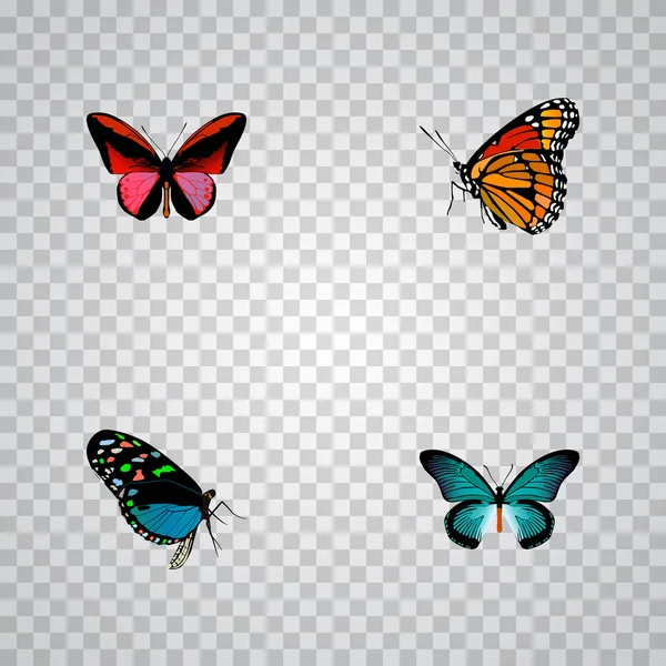 Realistic Milkweed, Callicore Cynosura, Hairstreak y otros elementos vectoriales. El sistema de símbolos realistas de la mariposa también incluye Bluewing, marrón, objetos rojos . — Archivo Imágenes Vectoriales