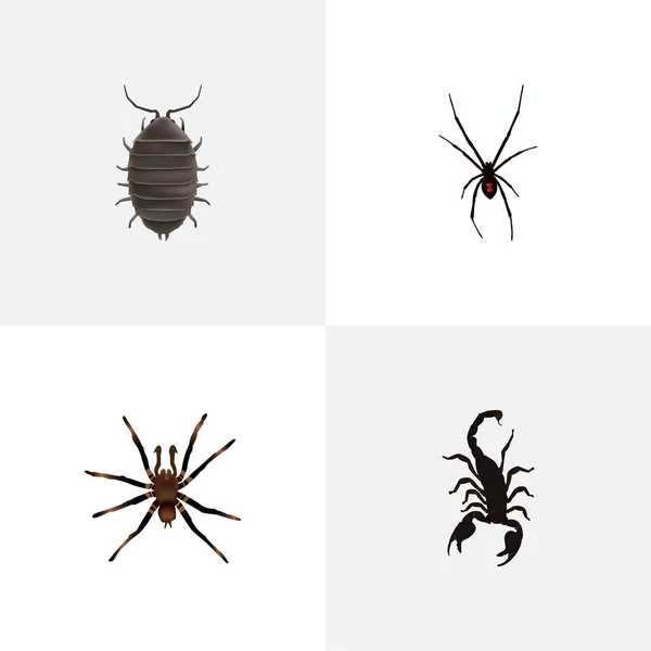 Gerçekçi Spinner, Dor, örümcek ve diğer vektör öğeleri. Hata gerçekçi simgeler kümesi de içerir Arachnid, değer değiştirici, örümcek nesneleri. — Stok Vektör