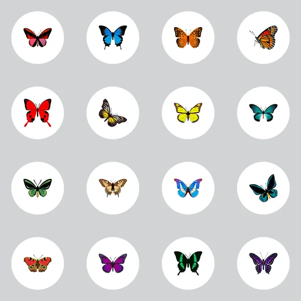 Realistické letní hmyz, Beauty Fly, tropické Moth a další prvky vektoru. Sada motýl realistické symbolů také zahrnuje, modrá, fialová, Bluewing objekty. — Stockový vektor