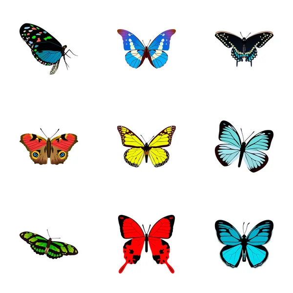 Lexiile realiste, Arhipelagul, Morpho Hecuba și alte elemente vectoriale. Set de simboluri realiste fluture include, de asemenea, molii, obiecte americane, Julia . — Vector de stoc