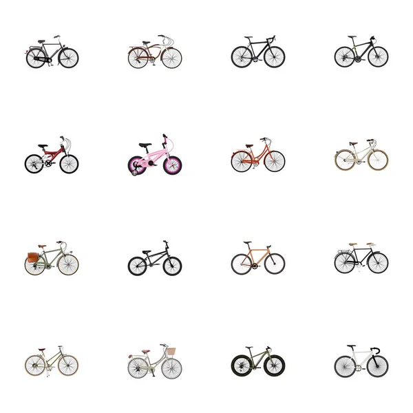 Realistic Training Vehicle, Fashionable, Cyclocross Drive And Other Vector Elements. Set Of Bicycle Realistic Symbols Also Includes Retro, Woman, Extreme Objects. — Stock Vector