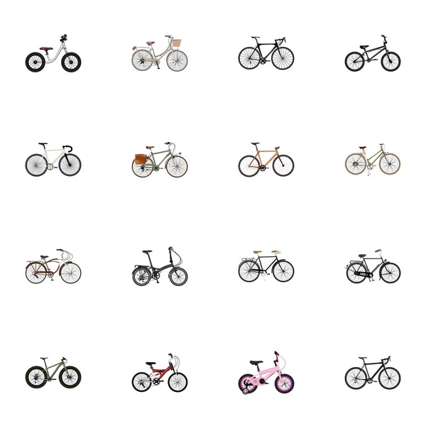 현실적인 브랜드, 여자 벡터 요소 Cyclocross 드라이브. 현실적인 상징의 세트는 또한 세련 된, 포함 자전거, 트랙 개체. — 스톡 벡터