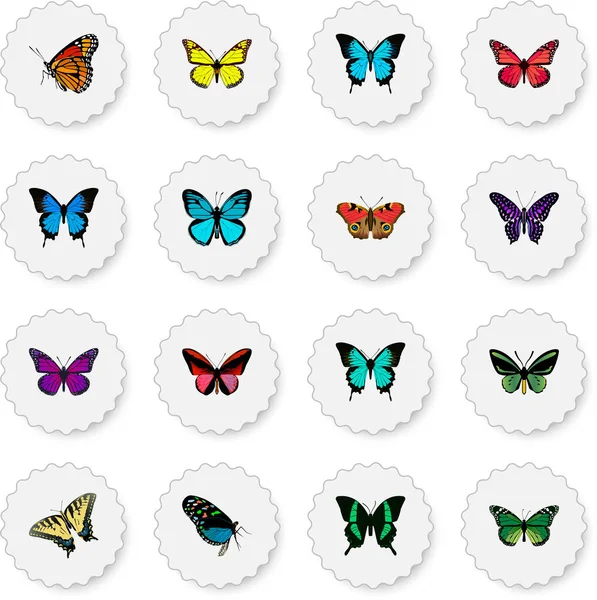 Realistic Purple Monarch, Milkweed, Archippus And Other Vector Elements. Set Of Moth Realistic Symbols Also Includes Violet, Fly, Red Objects. — Stock Vector