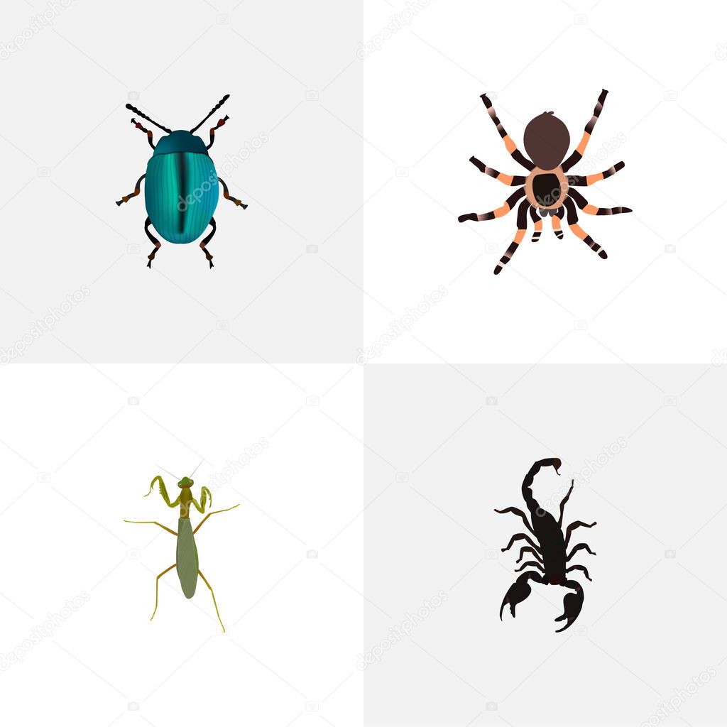 Realistic Poisonous, Grasshopper, Tarantula And Other Vector Elements. Set Of Bug Realistic Symbols Also Includes Locust, Mantis, Spider Objects.