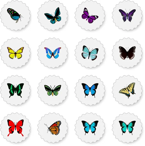 Realistic Bluewing, Butterfly, Polyommatus Icarus And Other Vector Elements. Set Of Beauty Realistic Symbols Also Includes Black, Monarch, Hairstreak Objects. — Stock Vector