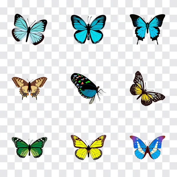 Realistyczne Archipa, Ornithoptera, Bluewing i innych elementów wektora. Zestaw piękności realistyczne symboli zawiera także Swallowtail, niebo, piękno obiektów. — Wektor stockowy