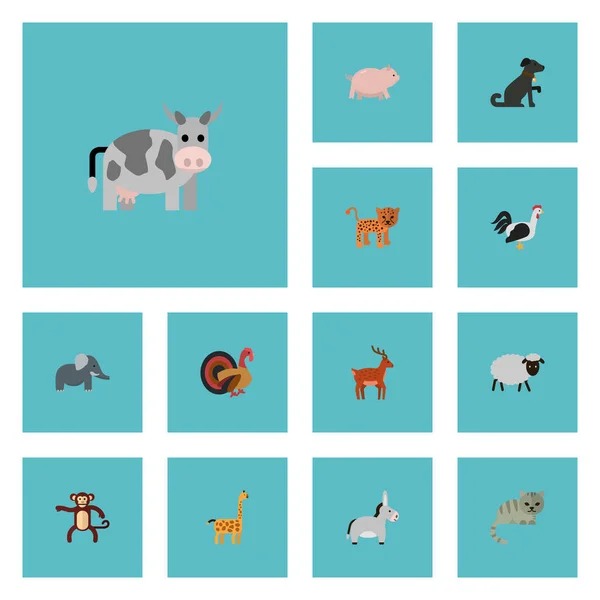 Flat Icons Jackass, Swine, Panther And Other Vector Elements. Set Of Animal Flat Icons Symbols Also Includes Jackass, Gazelle, Turkey Objects. — Stock Vector