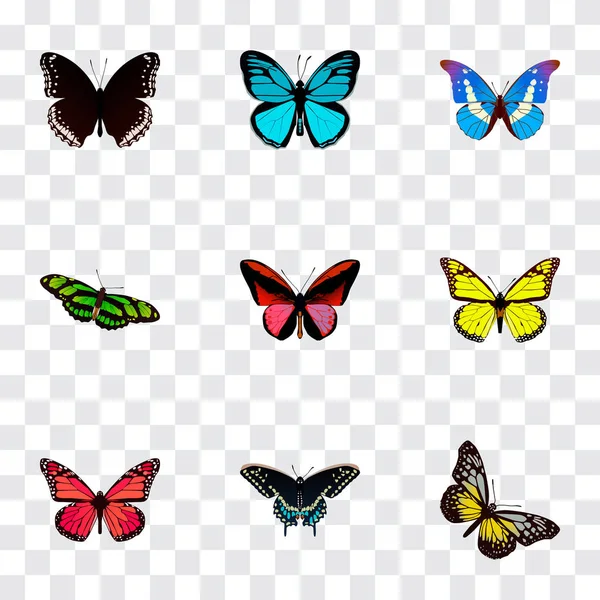Realistic Bluewing, Green Peacock, Sky Animal And Other Vector Elements. Set Of Beauty Realistic Symbols Also Includes Blue, Morpho, Green Objects. — Stock Vector