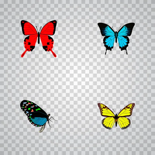 Realista Papilio Ulises, Sangaris, Hairstreak y otros elementos vectoriales. Conjunto de Símbolos Realistas de Mariposa También Incluye Monarca, Azul, Objetos de Bluewing . — Vector de stock
