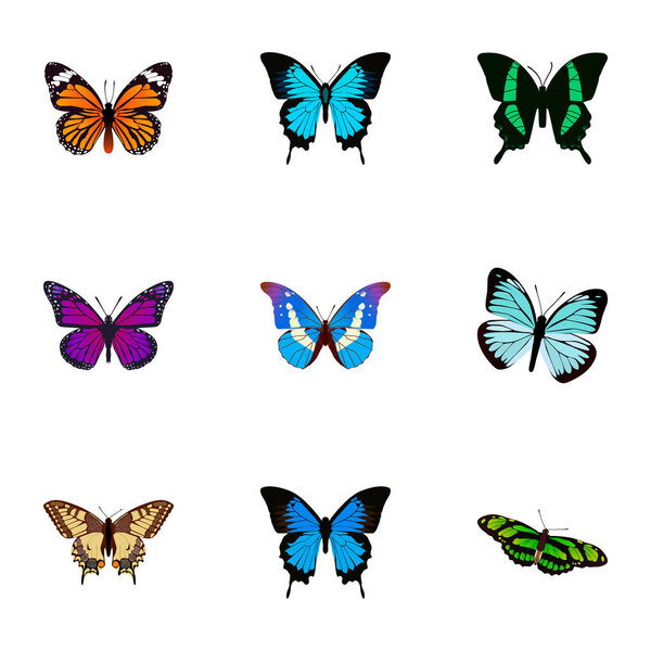Realistic Beauty Fly, Monarch, Tiger Swallowtail And Other Vector Elements. Set Of Beauty Realistic Symbols Also Includes Morpho, Green, Blue Objects.