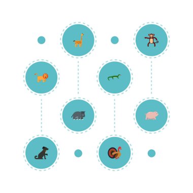 Düz simgeler işkembe, sürüngen, tazı ve diğer vektör öğeleri. Zooloji düz simgeler simge kümesi de orman, domuz, tazı nesneleri içerir.