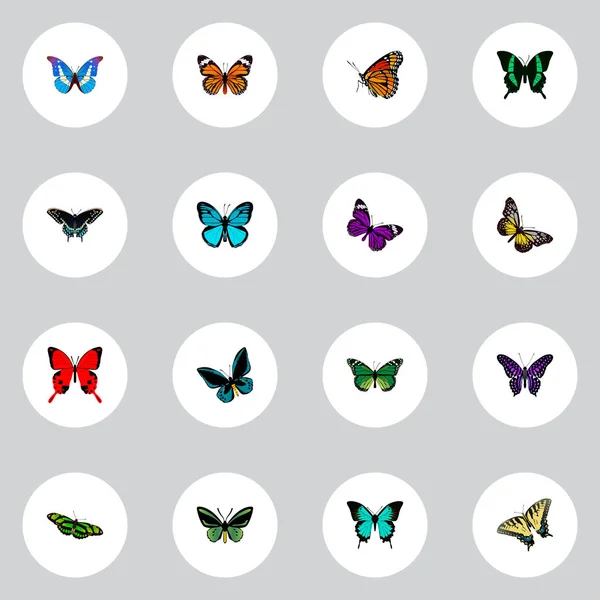 Realistické Demophoon, Birdwing, Butterfly a další prvky vektoru. Sada motýl realistické symbolů také zahrnuje tropické, Julia, krásných objektů. — Stockový vektor