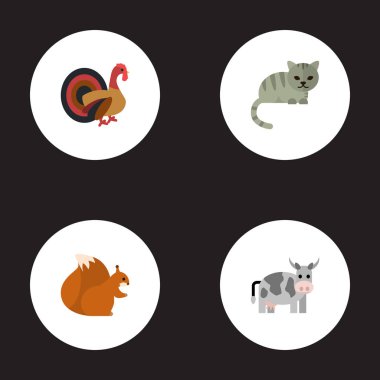 Düz simgeler işkembe, sincap, Kitty ve diğer vektör öğeleri. Zooloji düz simgeler simge kümesi de hayvan, sincap, sincap nesneleri içerir.