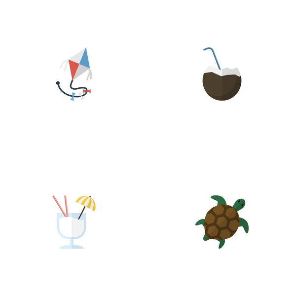 Flache Symbole fliegen, trinken, Kokos und andere Vektorelemente. Set von Sommer flache Symbole Symbole umfasst auch Schildkröte, Fliege, Drachen Objekte. — Stockvektor