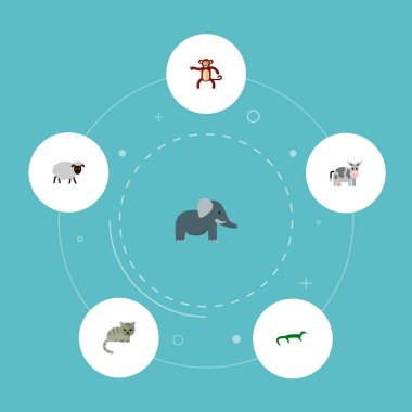 Simgeler düz stil kedi, koyun, maymun ve diğer vektör öğeleri. Canlı simgeler düz stil simgeler kümesi de içerir kine, sürüngen, şempanze nesneleri.