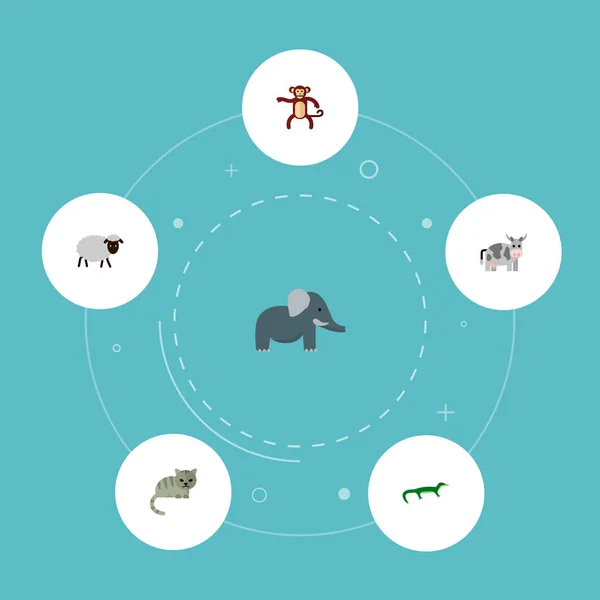 Készlet állatkert ikonok lapos stílusú szimbólumok, macska, juh, majom és más ikonok a webes mozgatható app logo tervezés. — Stock Fotó