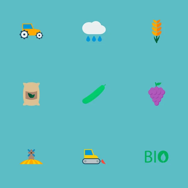 Ikonok lapos stílusú termesztett táskák, eső, mező és más vektorgrafikus elemek. A mezőgazdaság ikonok lapos stílusú szimbólumok is tartalmaz Aratógép, zöldség, malom-objektumok. — Stock Vector