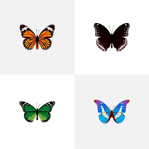 Set of beauty realistic symbols with morpho aega, green peacock, danaus plexippus and other icons for your web mobile app logo design. — Stock Vector