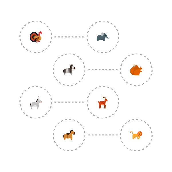 Conjunto de iconos de zoología símbolos de estilo plano con pavo, burro, elefante y otros iconos para el diseño del logotipo de su aplicación móvil web . —  Fotos de Stock