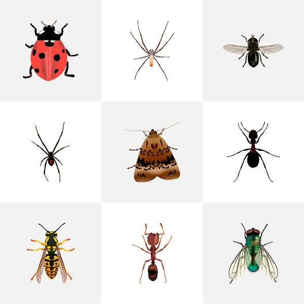 Conjunto de símbolos realistas de bugs com vespas, moscas, picadas e outros ícones para o design do logotipo do seu aplicativo móvel da web . — Fotografia de Stock