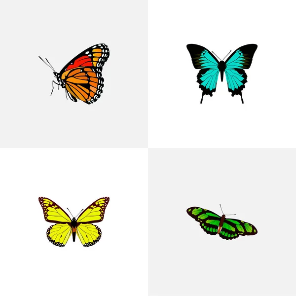 Conjunto de símbolos realistas de polilla con alas de colmillo, alas de pájaro, rayas de pelo y otros iconos para el diseño del logotipo de su aplicación móvil web . —  Fotos de Stock