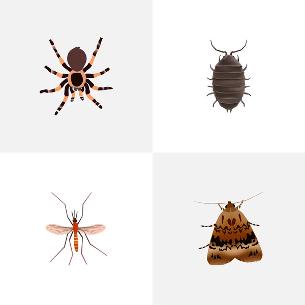 Набір реалістичних символів вад з вадою, комарами, чорною вдовою та іншими піктограмами для дизайну логотипу вашого мобільного додатку . — стокове фото
